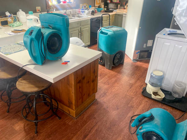 Best Flood damage cleanup  in Newnan, GA