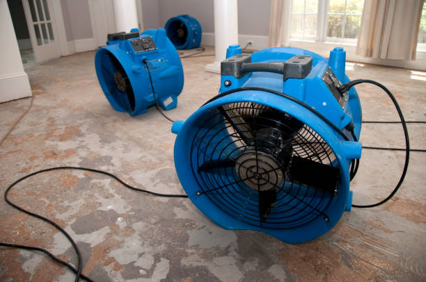 Best Professional water damage repair  in Newnan, GA