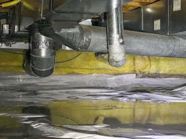 Best Flood restoration services  in Newnan, GA