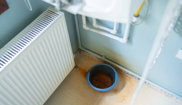 Best Mold removal after water damage  in Newnan, GA