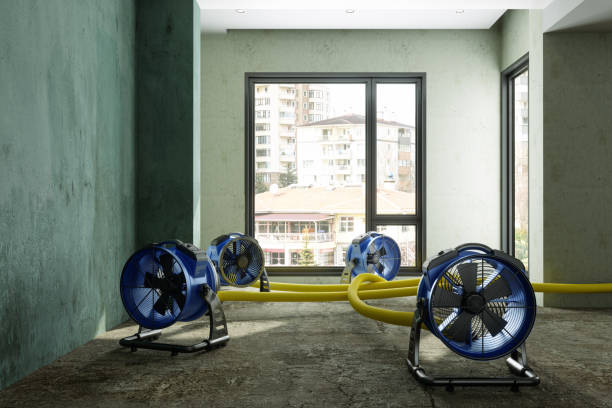  Newnan, GA Water damage restoration Pros