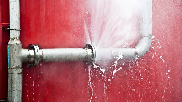Best Water damage mitigation services  in Newnan, GA